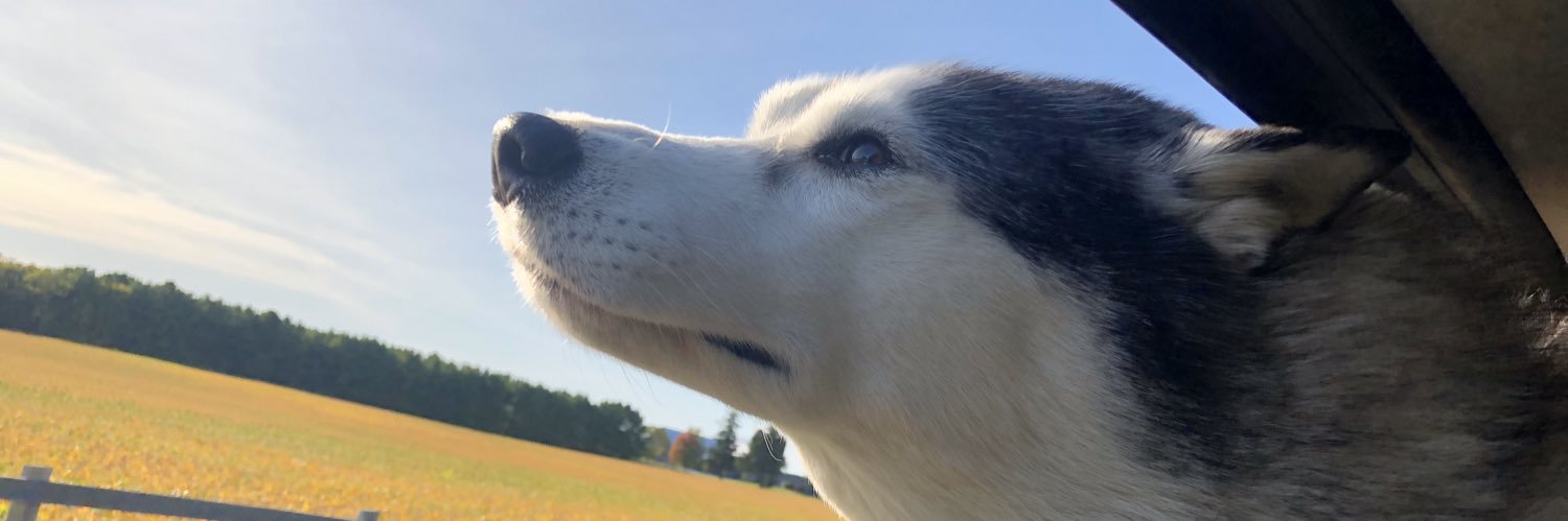 Dr. Imogen R. Coe banner