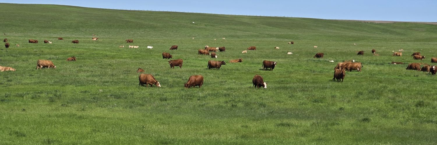 sixpackfarms's profile banner image
