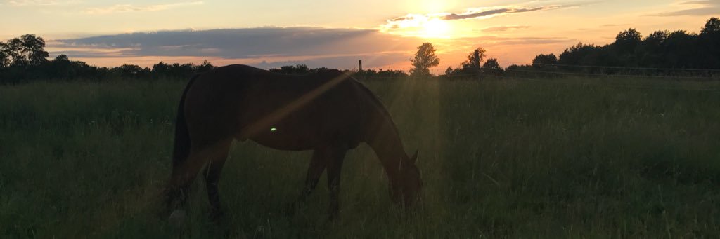 meghangerlock's profile banner image