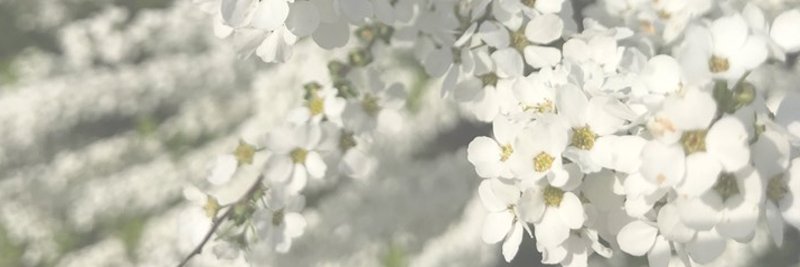 MUSICCUBEINC's profile banner image