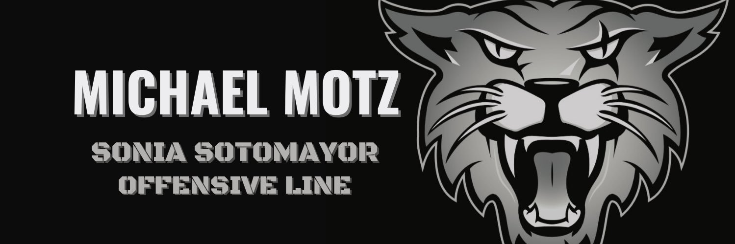 Michael Motz banner