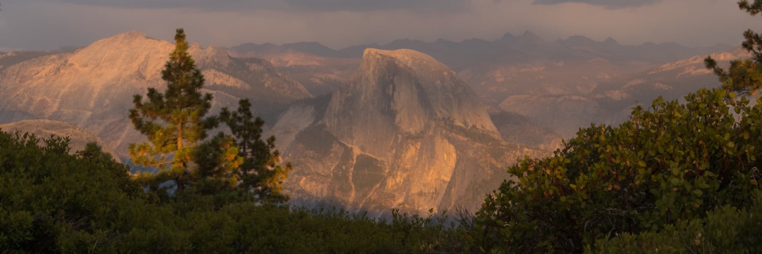 Dan banner