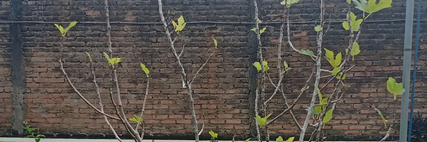 qiqink's profile banner image