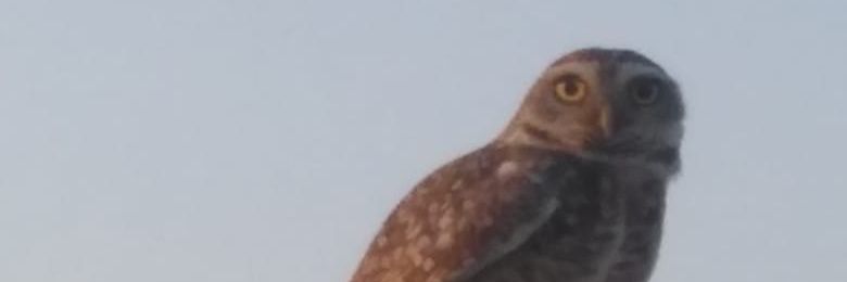 SolangeWlady's profile banner image