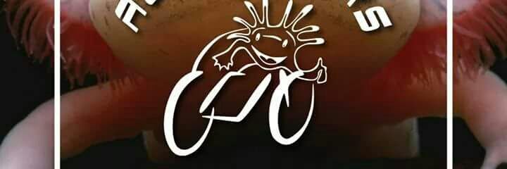 ajolobikers's profile banner image