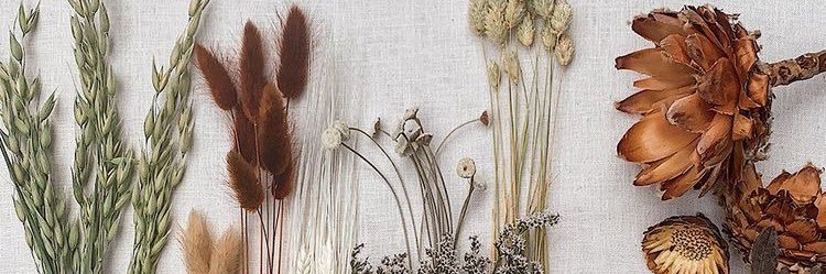 erikaagerdes's profile banner image