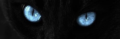 WarrierPakguer's profile banner image