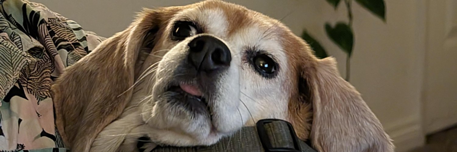 jackonstaley's profile banner image