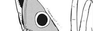 fleeklr's profile banner image