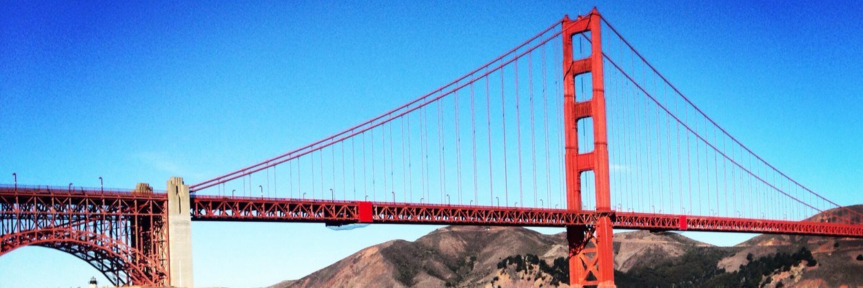 Amber Costa banner