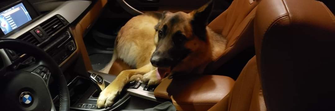 Drew Beckmann banner