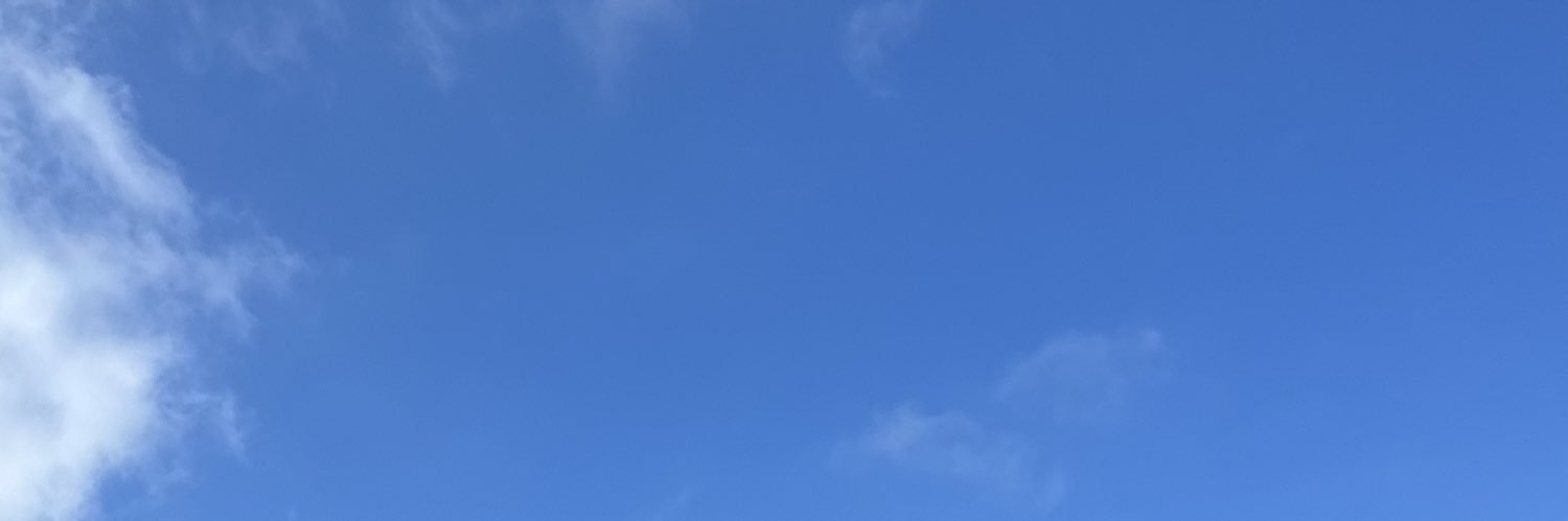maribressann's profile banner image
