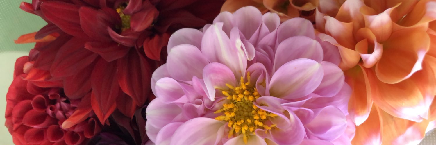 blue3103rose's profile banner image