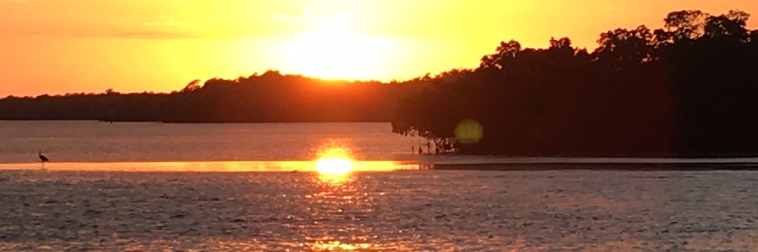 LizzBarclaye7's profile banner image