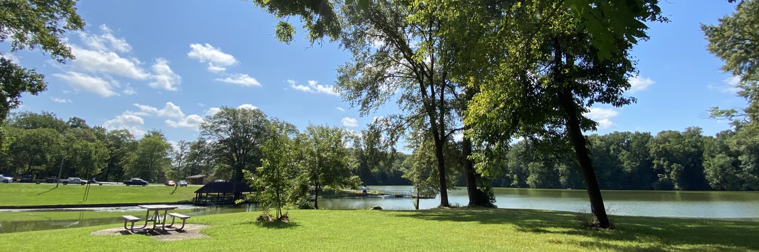 Xin Lan👩🏻‍🔬 banner