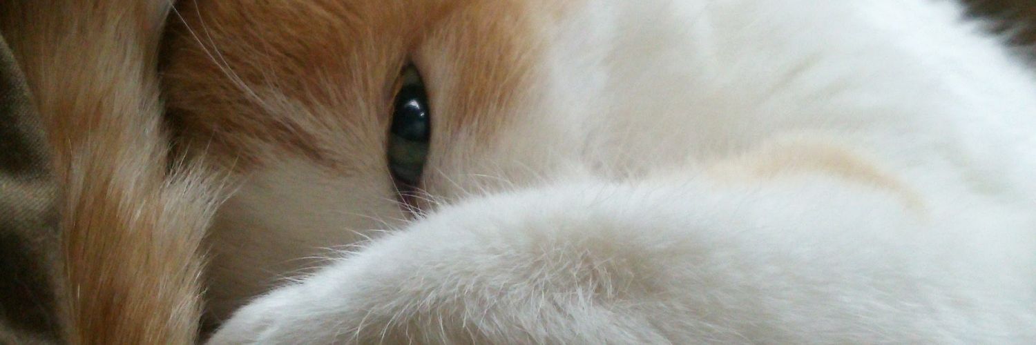 jemini0601's profile banner image
