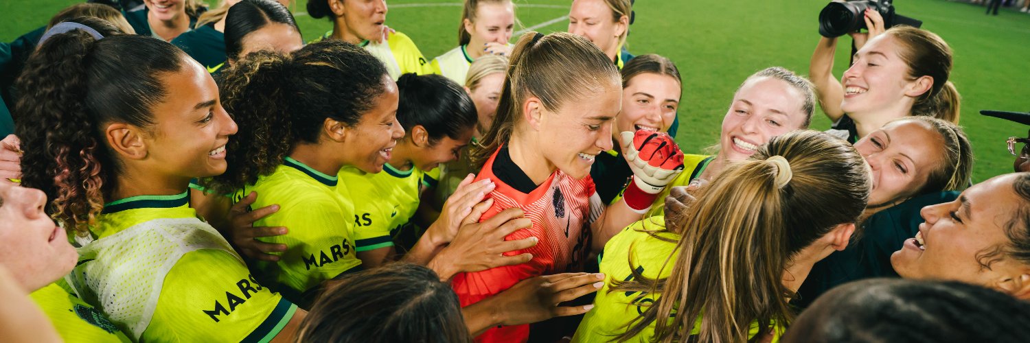 Washington Spirit's banner
