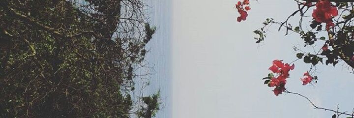 JaJaJaJaneiro's profile banner image