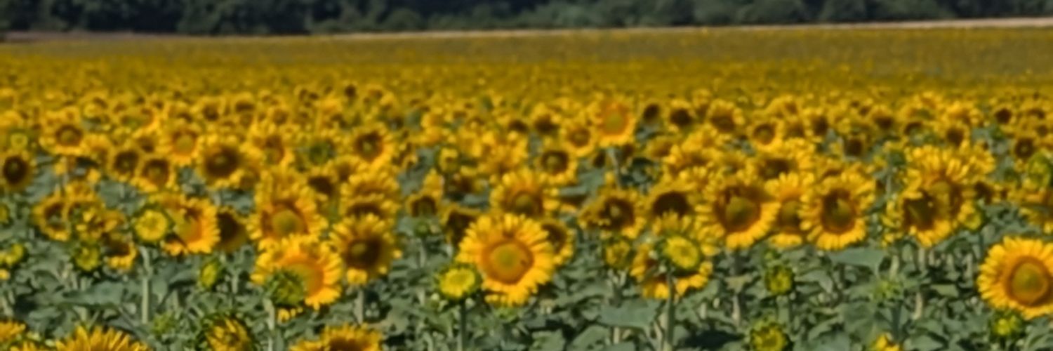tonyleach's profile banner image