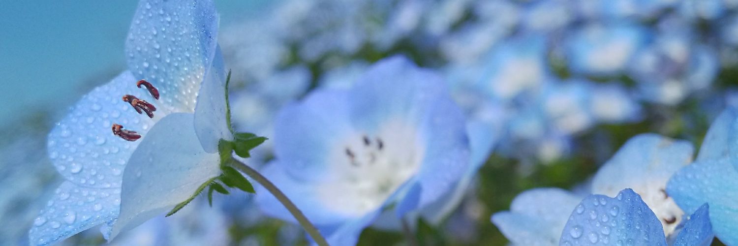 sxxcry's profile banner image