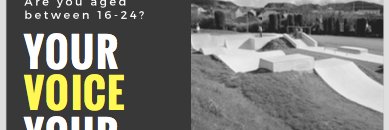 AVEN banner