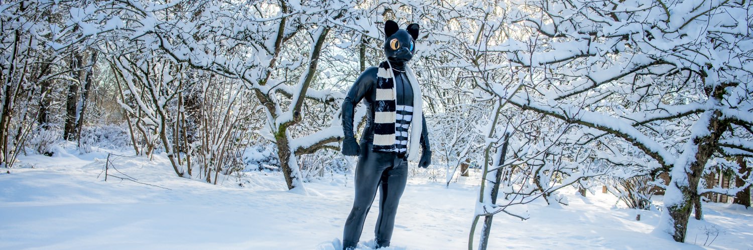 FSNurk's profile banner image