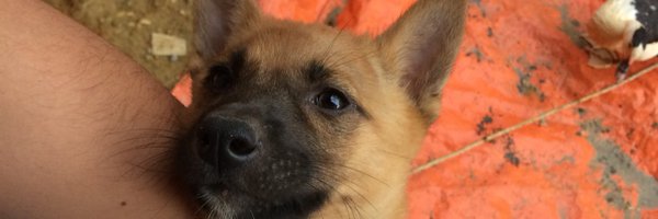 Kjawi2 Profile Banner