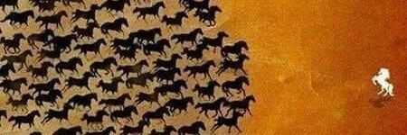 hateemchohan's profile banner image