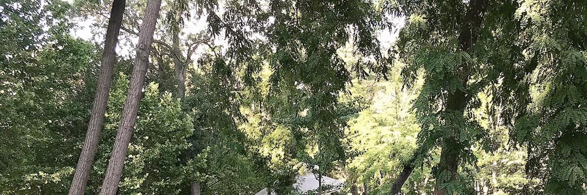 matasoy42's profile banner image