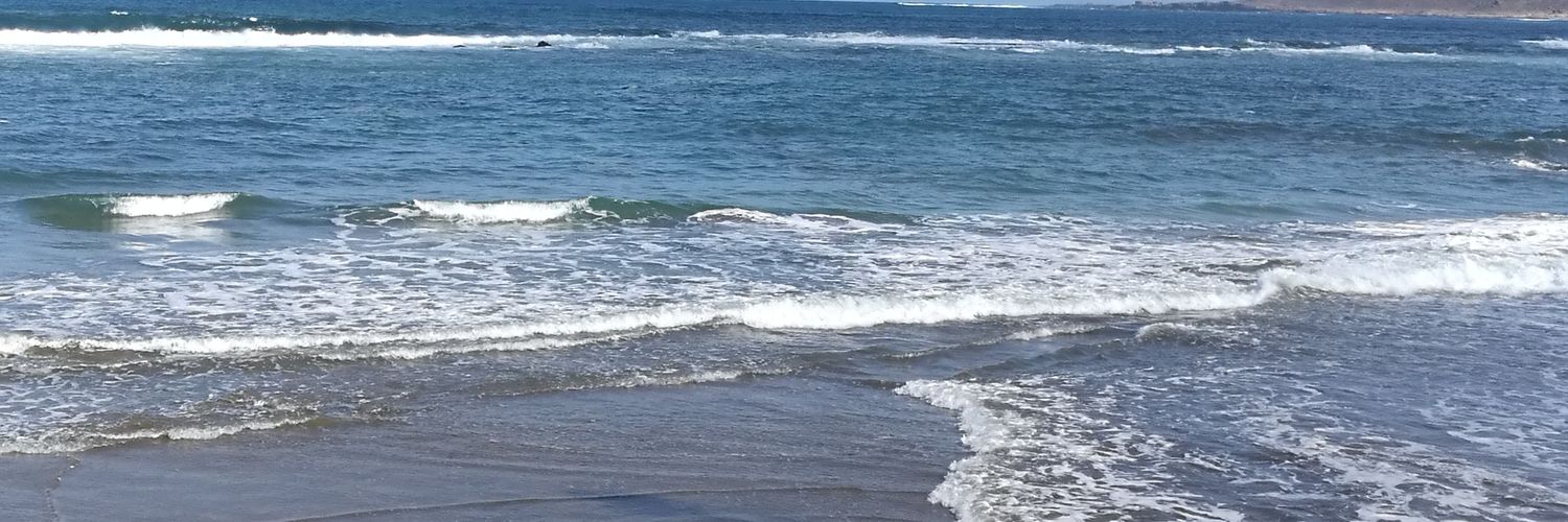 ppaortega's profile banner image