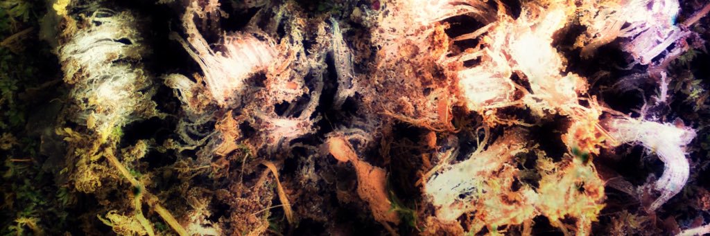 Artificial0to1's profile banner image