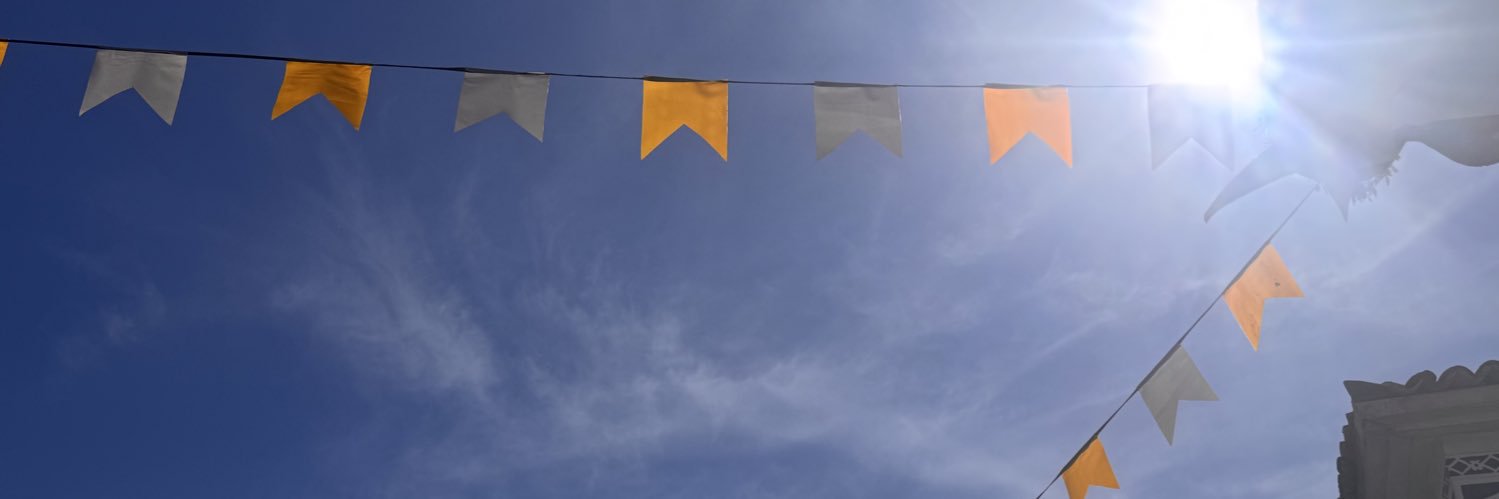 FerriteValeria's profile banner image