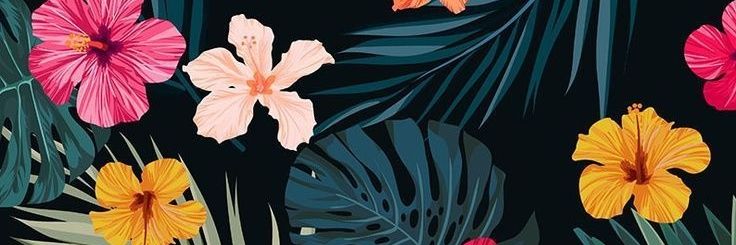 CamiTriulci's profile banner image