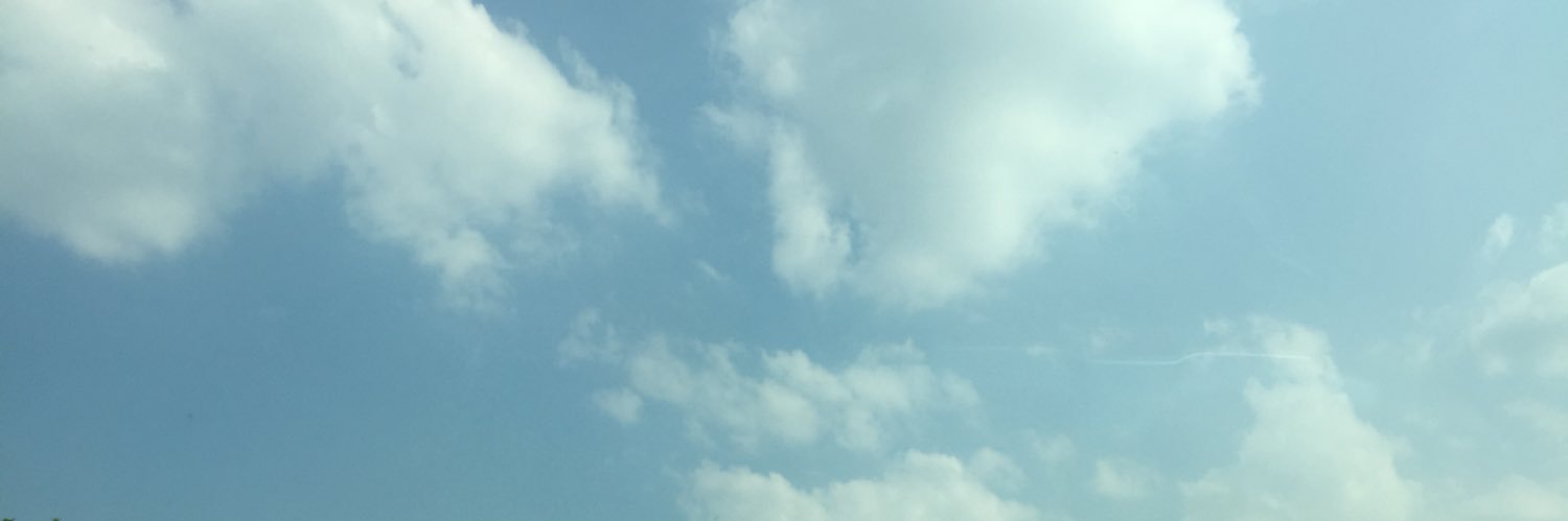 sarangheeae's profile banner image