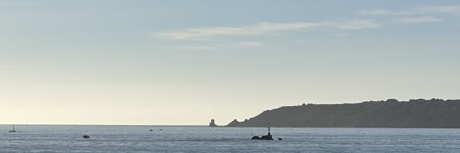 Callum Roche banner