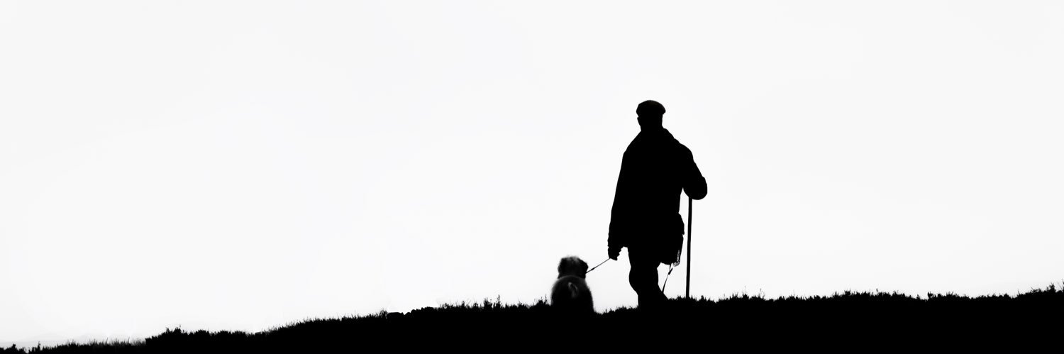 Dr David Johnson banner