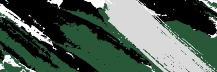 Insulators Vets FC banner