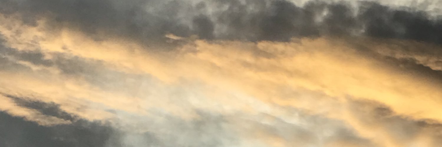 méirysza banner