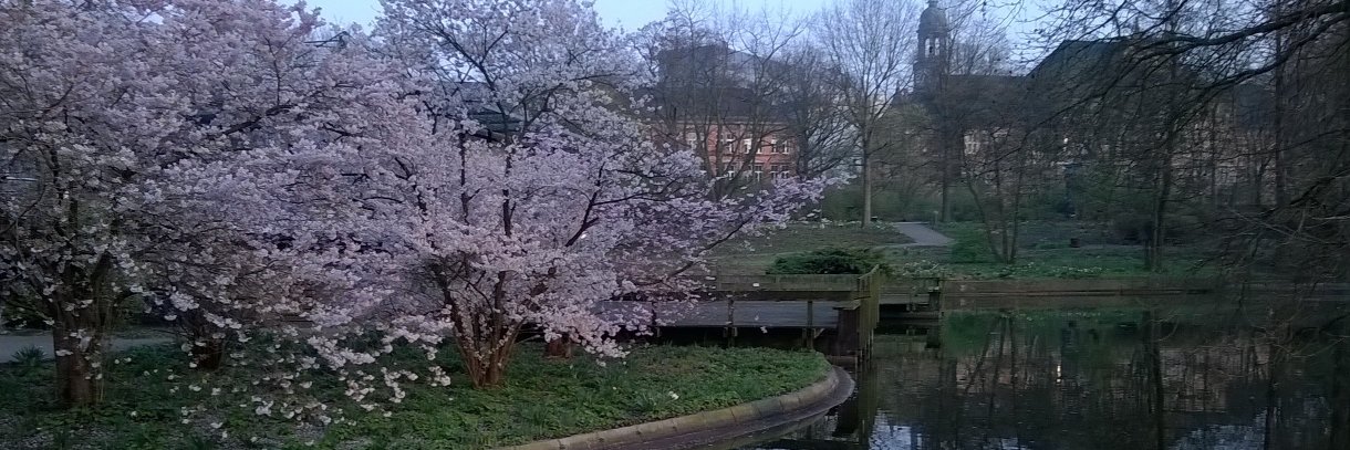 Helmar Steinberg 🗽 banner