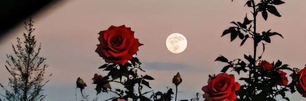 𝑨𝒅𝒓𝒊𝒂𝒏 𝓞𝓷𝓽𝒊𝓿𝓮𝓻𝒐𝒔⚕️ banner