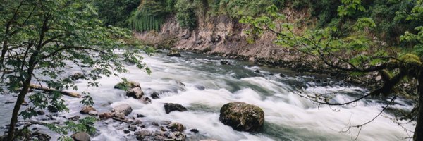 SLCPPRWRSTS Profile Banner