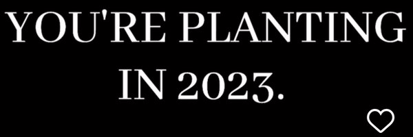 RelTiaaa Profile Banner