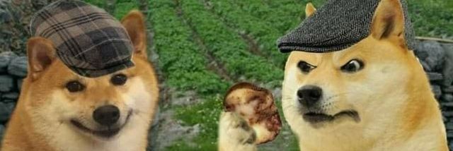 ᴰᴬᴺᴷ🇮🇪🇮🇪🇮🇪ᴾᴬᴰᴰʸ🇮🇪🇮🇪🇮🇪 banner