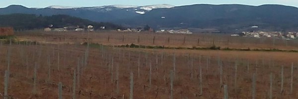cava_SEdR Profile Banner