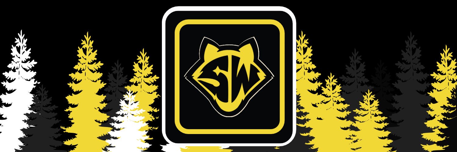 Superior City FC II banner