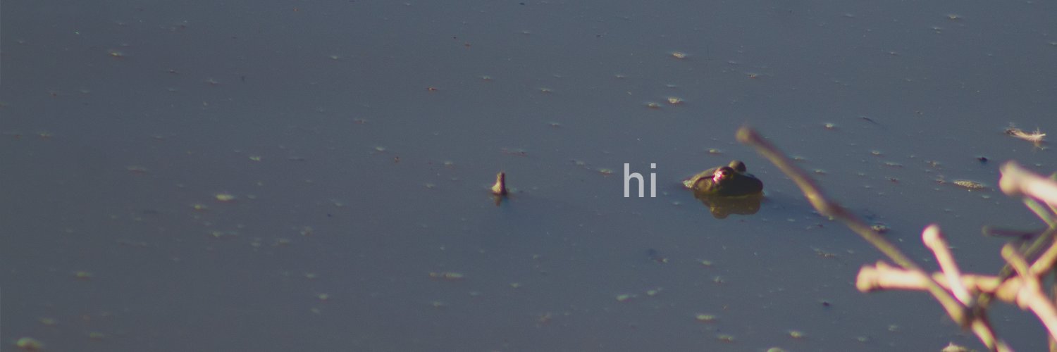kiki 🐸 banner