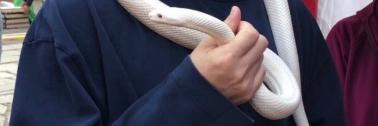mitchuchan's profile banner image