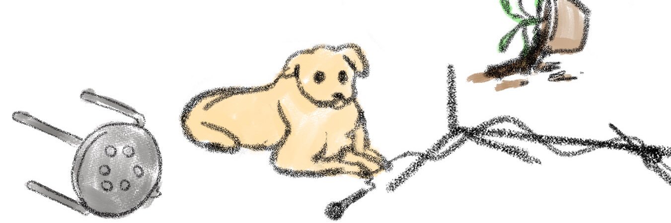 シンヤ's banner