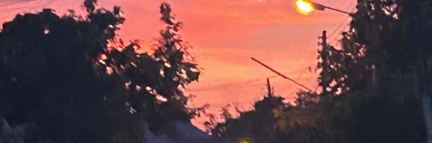 janistar_r's profile banner image