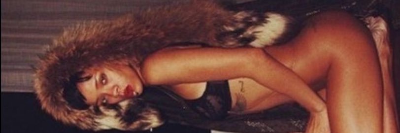 nicole's banner